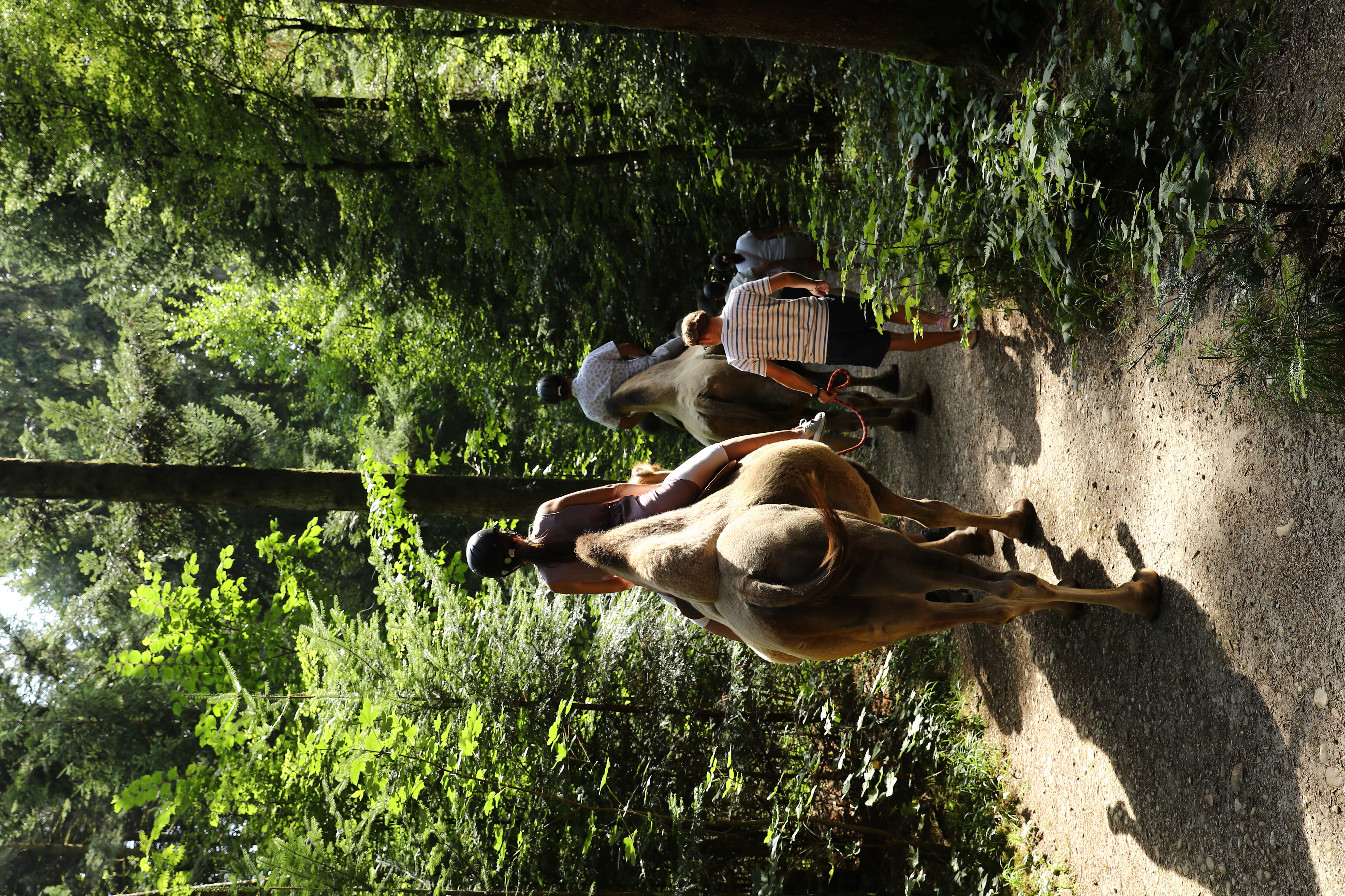 Kameltrekking